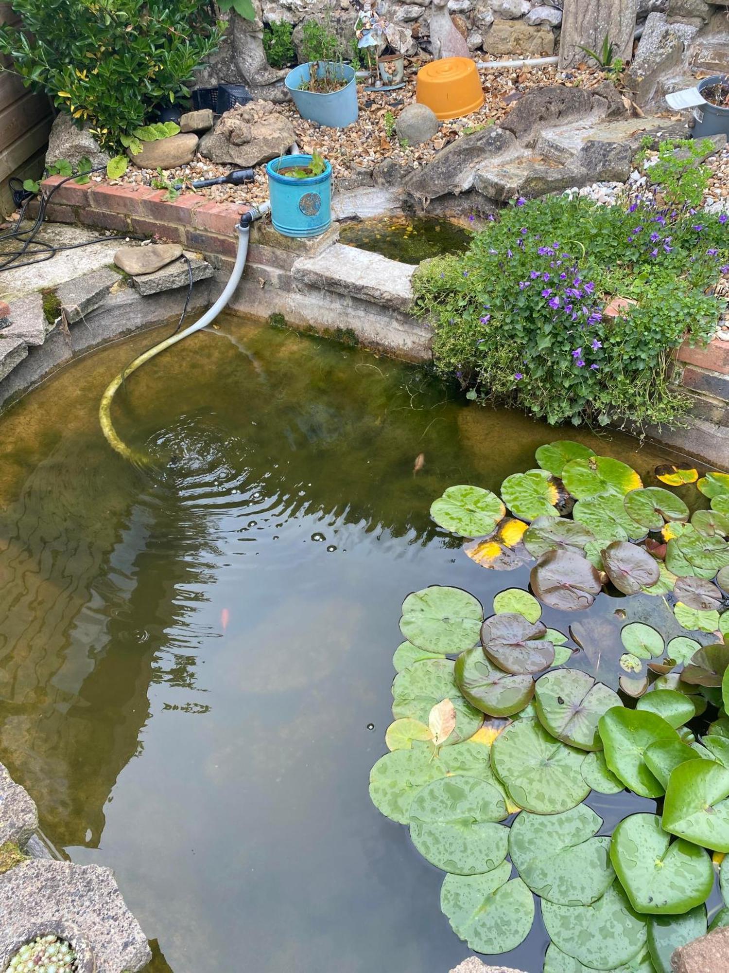 Pond Cottage Purley Buitenkant foto