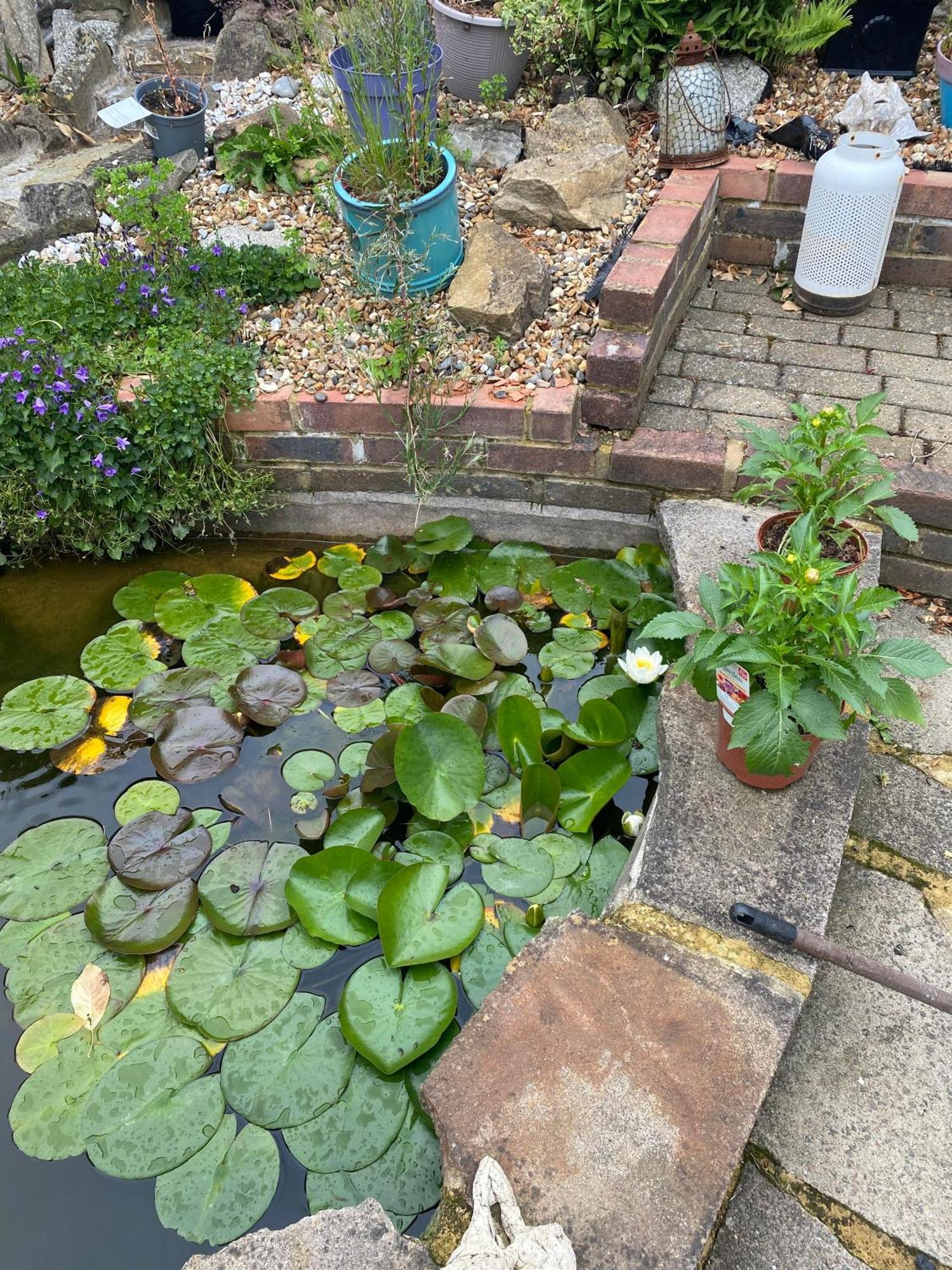 Pond Cottage Purley Buitenkant foto